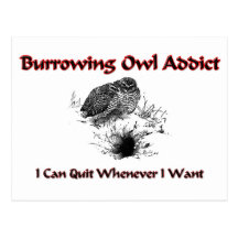 Burrowing Owl Addict Post Cards
