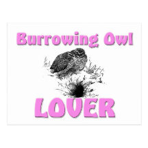 Burrowing Owl Lover Postcard