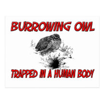 Burrowing Owl trapped in a human body Postcards
