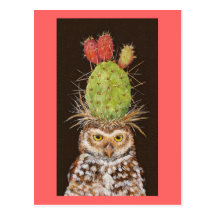 burrowing owl with cactus hat postcard