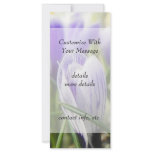 Bursting Into Blossom - Crocuses! rack cards