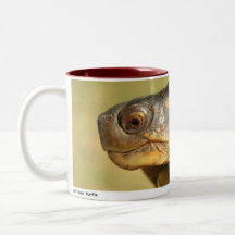 Bush 01 coffee mugs