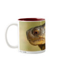 Bush 01 mugs