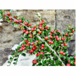 Bush Branch With Red Berries photo sculptures