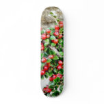 Bush Branch With Red Berries skateboards