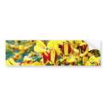 Bush In Blossom bumper stickers