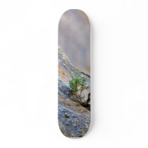 Bushes 3 skate deck