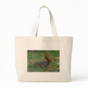 Bushy Tail Squirrel bags