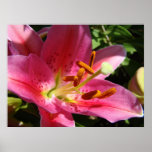 BUSINESS ART Gifts Prints LILY FLOWERS Floral
