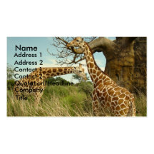 Business card