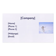 Business Card / Arctic Trailblazing