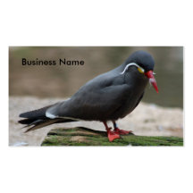 Business Card  Bronx Zoo 193 -Bird