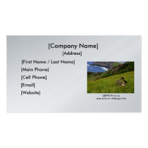 Business Card / Endangered Hawaiian Nene Geese