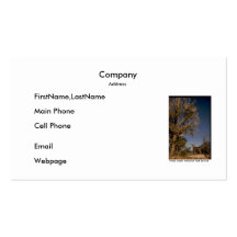 Business Card / Grand Canyon Deer