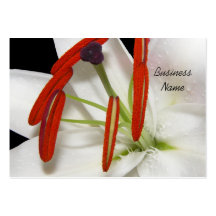 Business Card Lily Flower