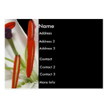 Business Card Lily Flower