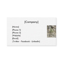 Business Card / Phoenix Mountains Preserve