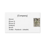 Business Card / Phoenix Mountains Preserve business cards