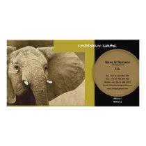 Business card profile elephant safari customisable