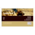 Business card profile hyenas safari