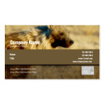 Business card profile hyenas safari