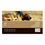 Business card profile hyenas safari