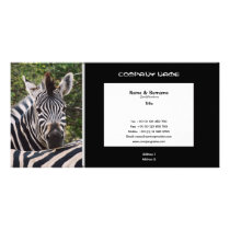 Business card profile zebra safari customise