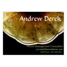 Business Card - Sound and Music