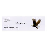 Business Cards, American Bald Eagle