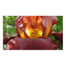 Business Cards Floral Glowing Iris Flowers