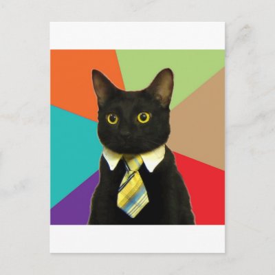 Business Cat Meme