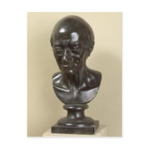 Bust of Voltaire  1778 Postcard