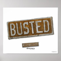 Busted Poster