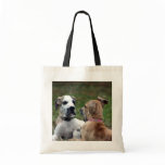 buster and jade 3 bags