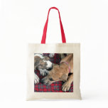 buster and jade 4 bags