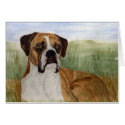 'Buster' Card