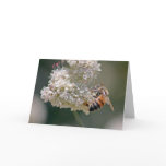 Busy as a Bee Card