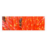 busy bee at work bookmark business cards