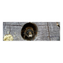 busy bee bookmark business card templates