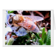 Busy bee Card
