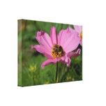 Busy Bee on Cosmo Stretched Canvas Prints