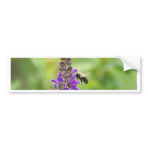 Busy Bee on the Purple Flower Bumper Stickers