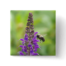 Busy Bee on the Purple Flower Buttons