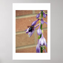 Busy Bee Poster