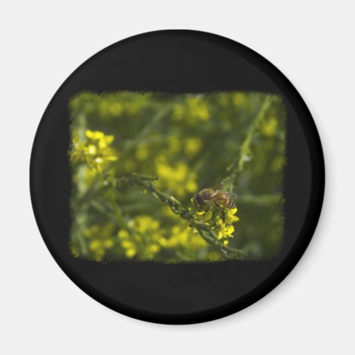 Busy Busy Bee Refrigerator Magnet