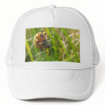 Busy Spider Mesh Hats