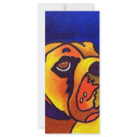 Butchie by Piliero rack cards