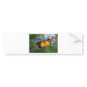 Buttefly -06173 bumper stickers
