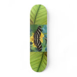 Butter Board skateboards