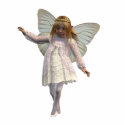 Butter Fairy photo sculptures